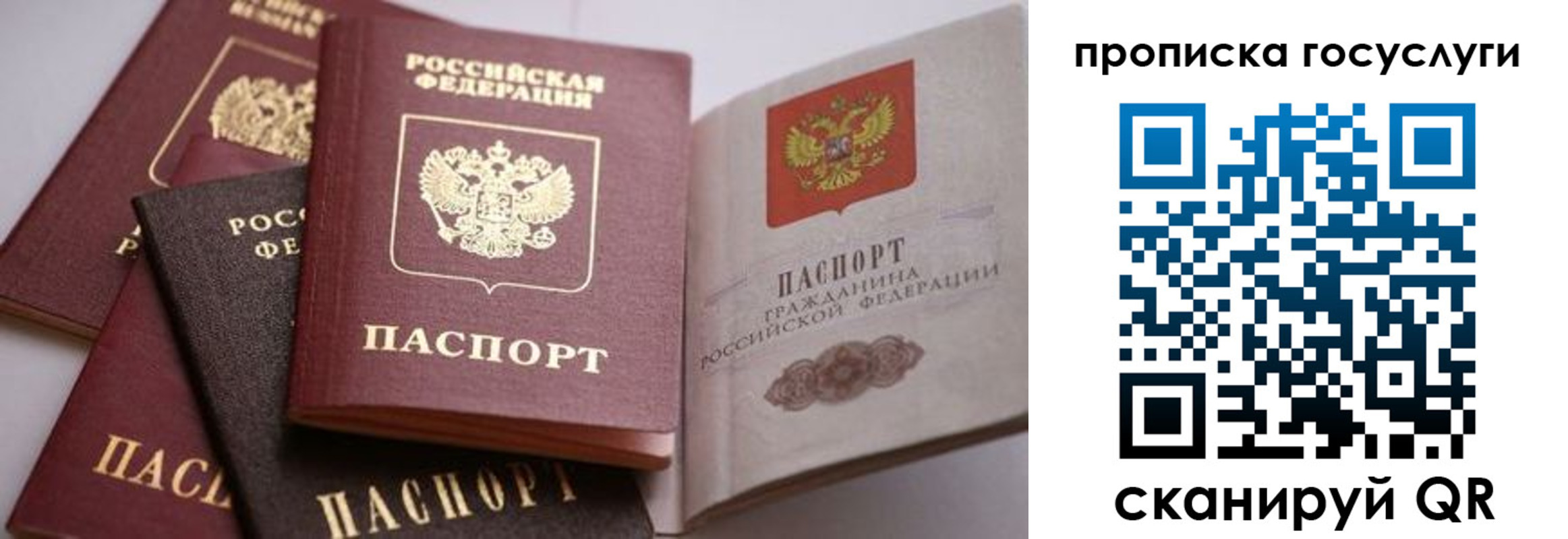 прописка иностранных граждан в Новомичуринске